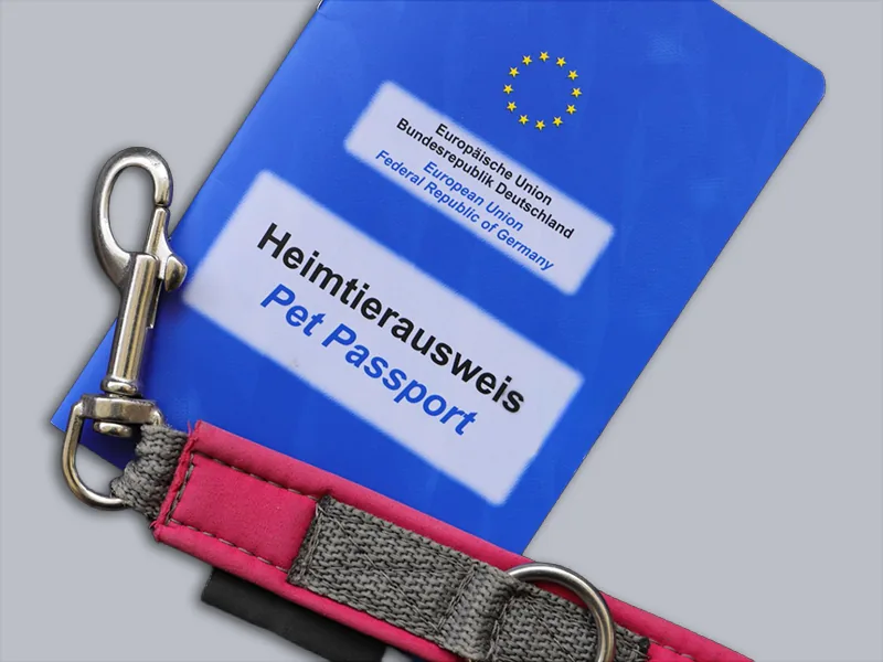 Passeport européen pour animal de compagnie